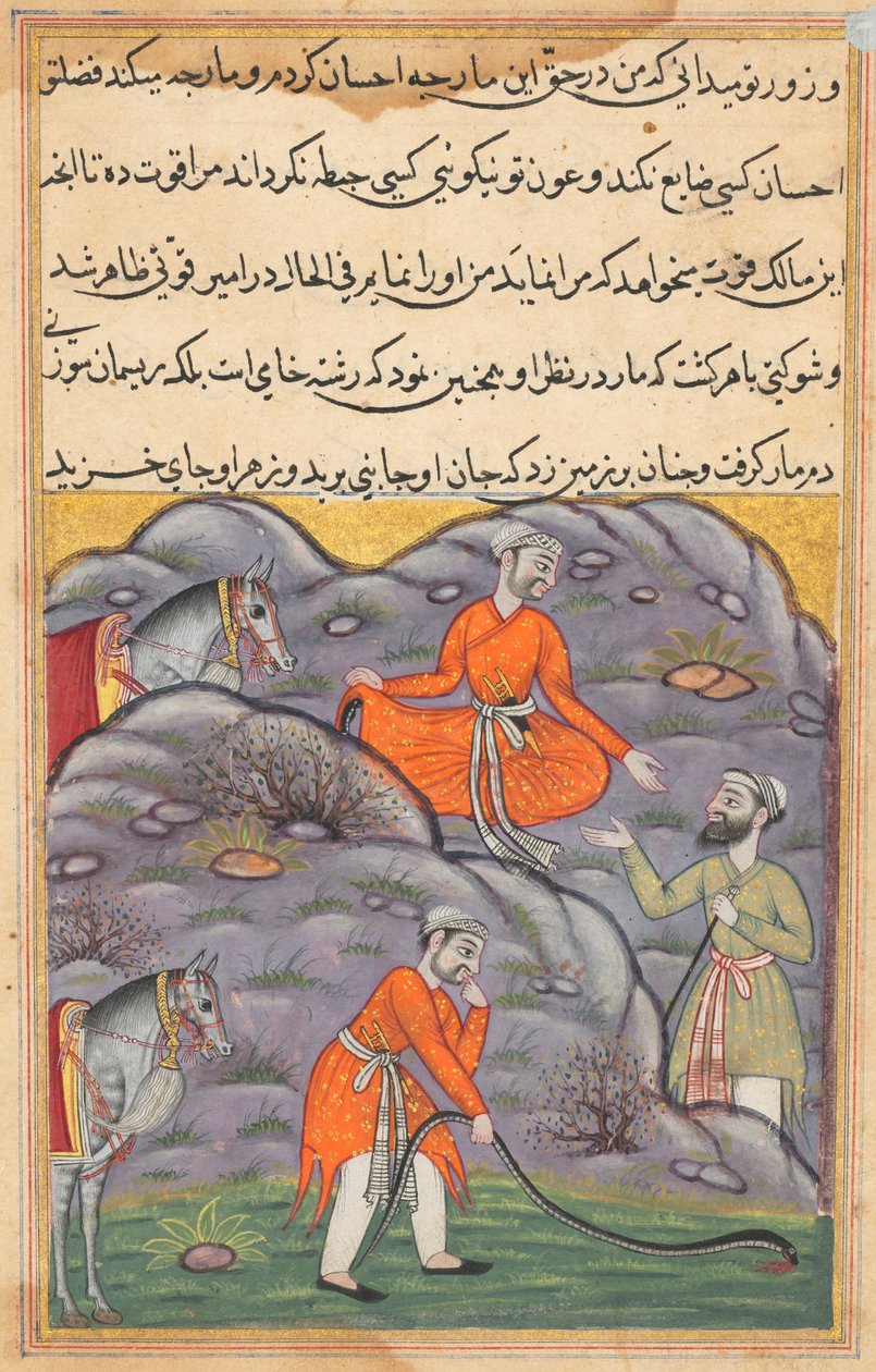The Emir slays the snake after giving it shelter, from Tales of a Parrot: Forty-fifth Night by Unknown artist