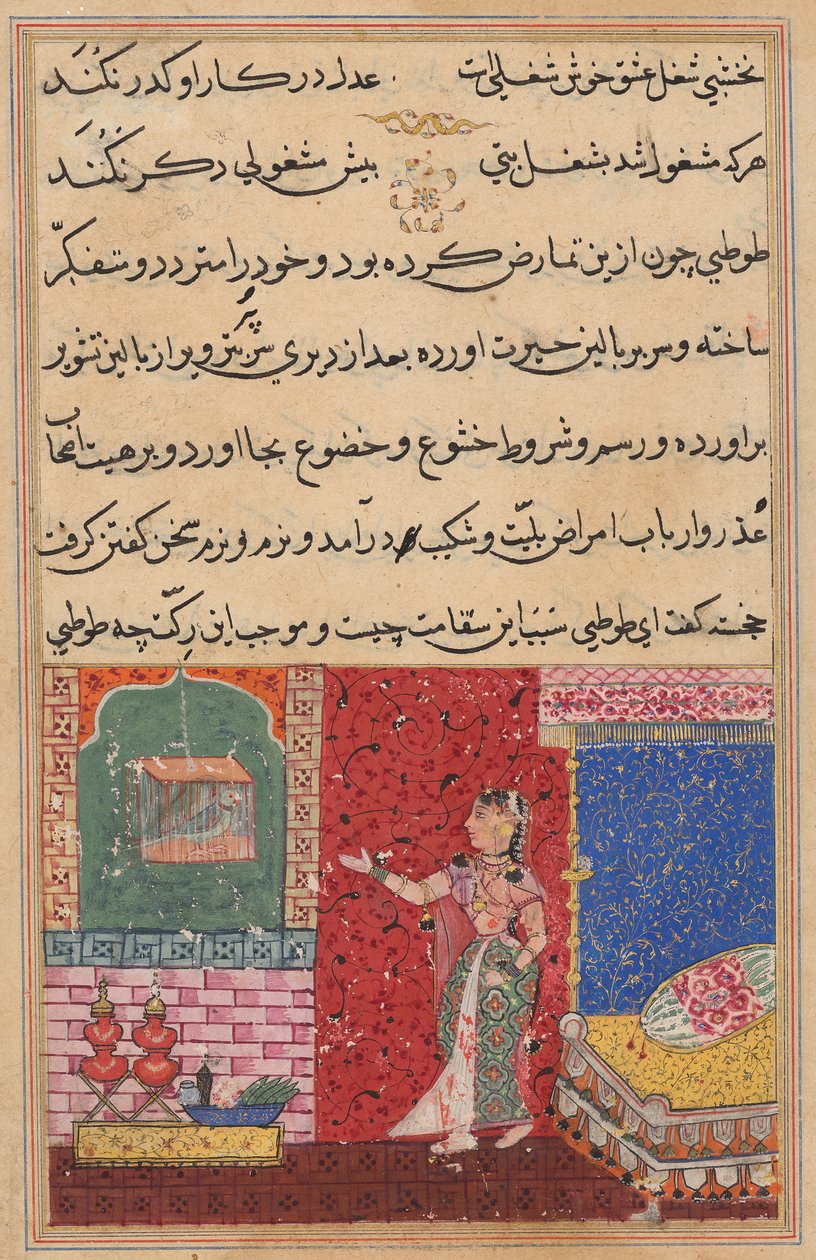 The Parrot Addresses Khujasta at the Beginning of the Fifteenth Night, from a Tuti-nama (Tales of a Parrot) by Unknown artist