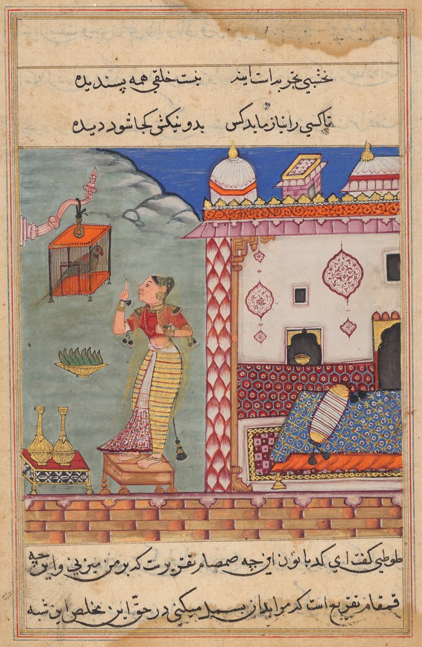 The Parrot Addresses Khujasta at the Beginning of the Twenty-seventh Night (Tales of a Parrot) by Unknown artist