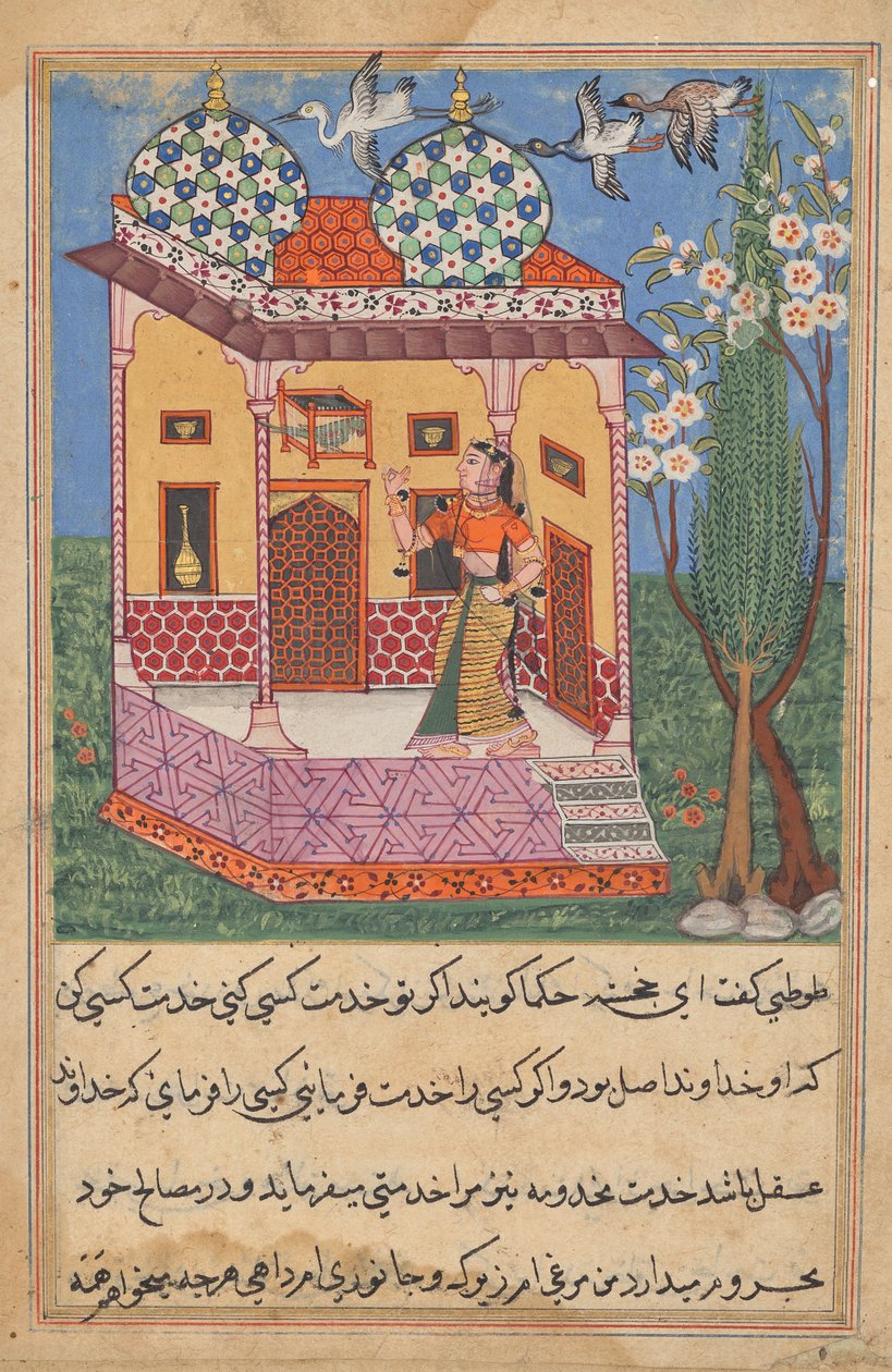 The Parrot Addresses Khujasta at the Beginning of the Twenty-sixth Night, from Tales of a Parrot by Unknown artist
