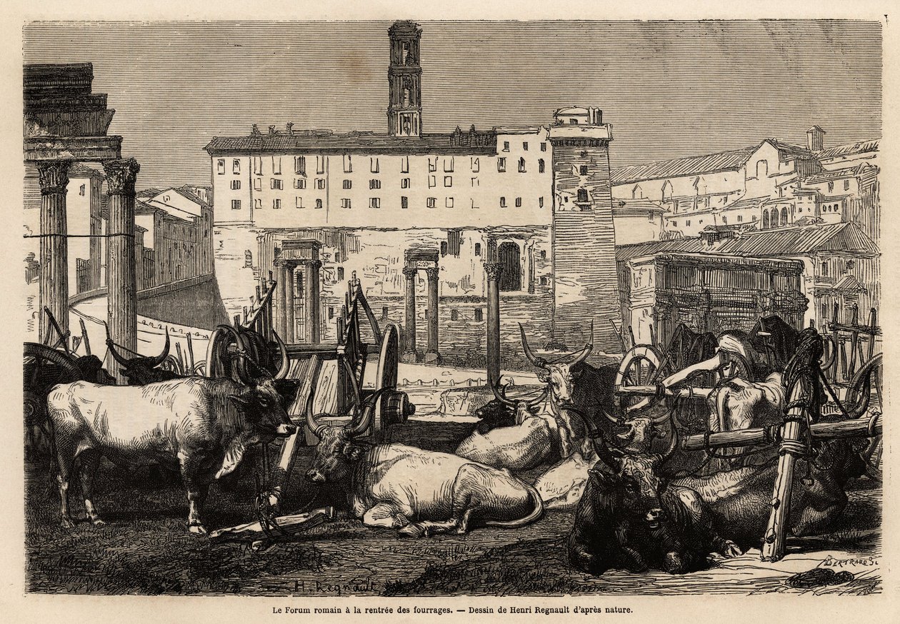 The Roman forum has the rent of fodder, the oxen lie in the middle of ...