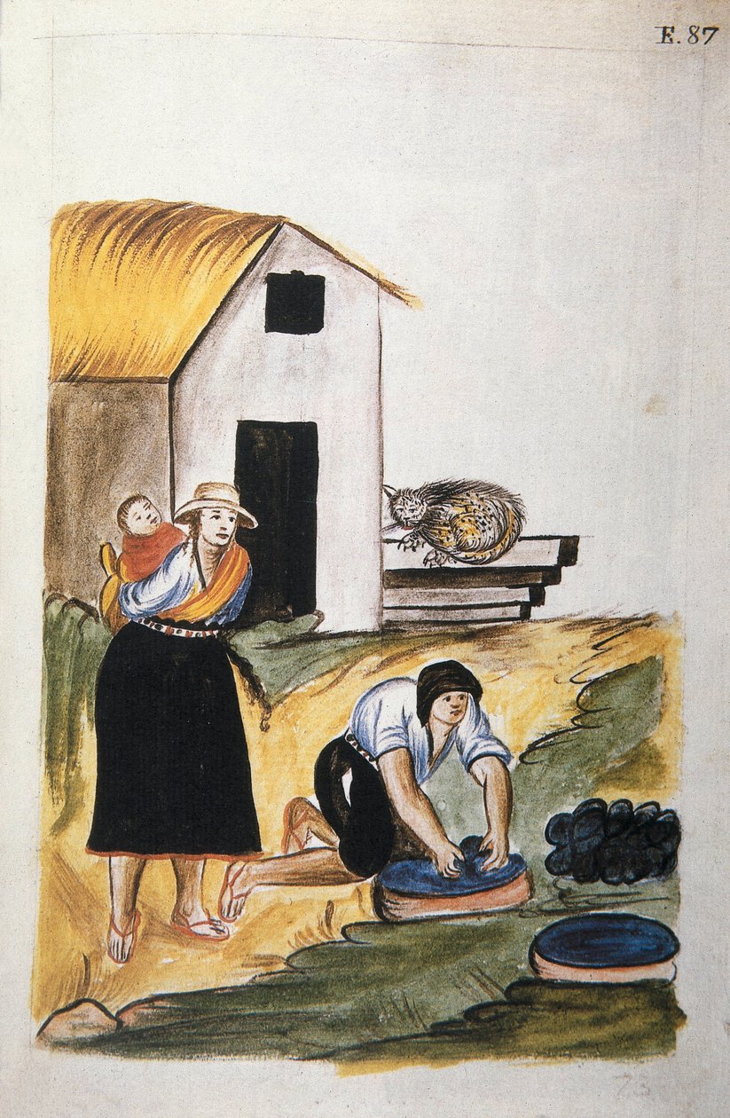 The dyeing of wool, from the book 