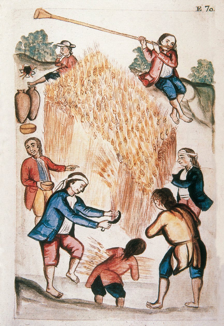 The harvest, from the book "Trujillo del Peru" or "Códice Martínez Compañón", by Baltazar Martinez Compañón y Bujanda, bishop of Trujillo (1782-1785) by Unknown artist