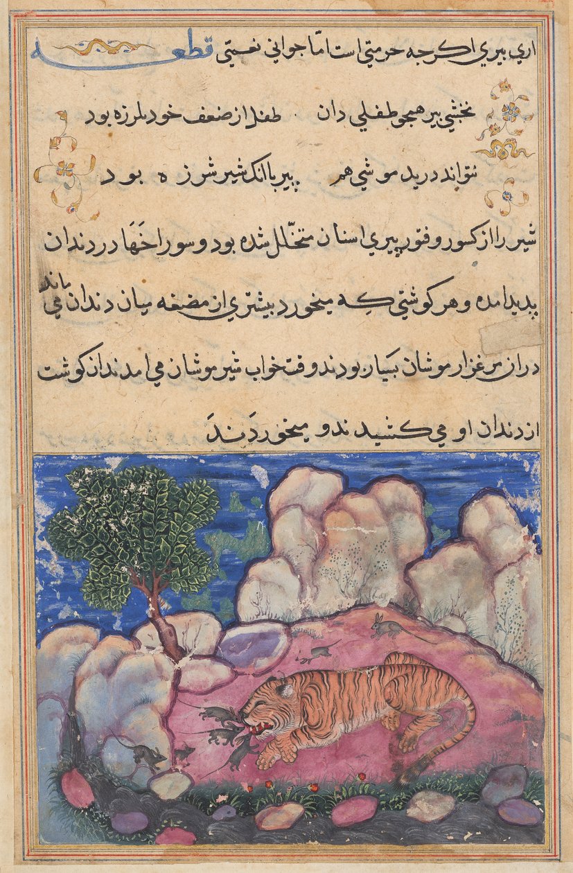 The Lion Disturbed by Mice Who Eat the Food Trapped in His Aging Teeth, from a Tuti-nama (Tales of a Parrot): Fifteenth Night by Unknown artist
