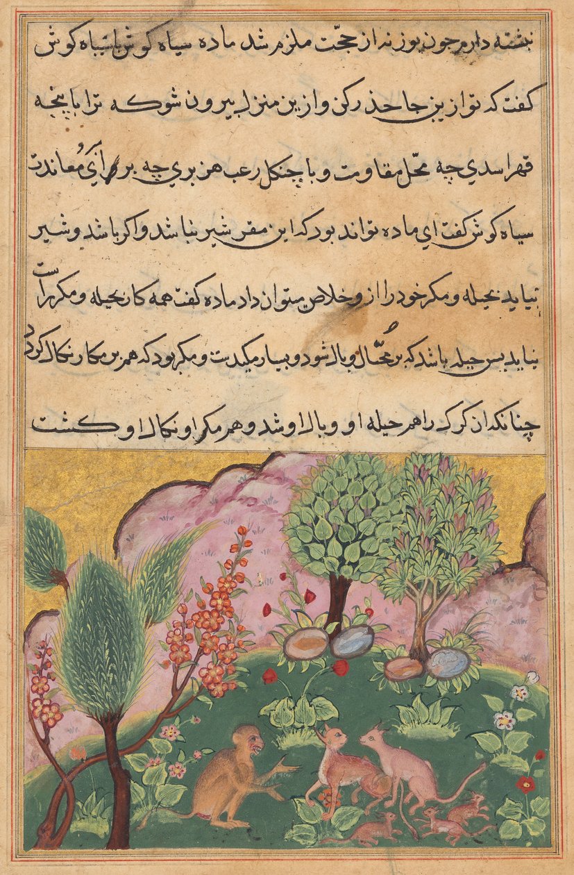 The monkey, serving as the lion’s chamberlain, converses with the lynx and its mate who have arrived with their cubs to settle in the lion’s domain (Tales of a Parrot: Twenty-ninth Night) by Unknown artist