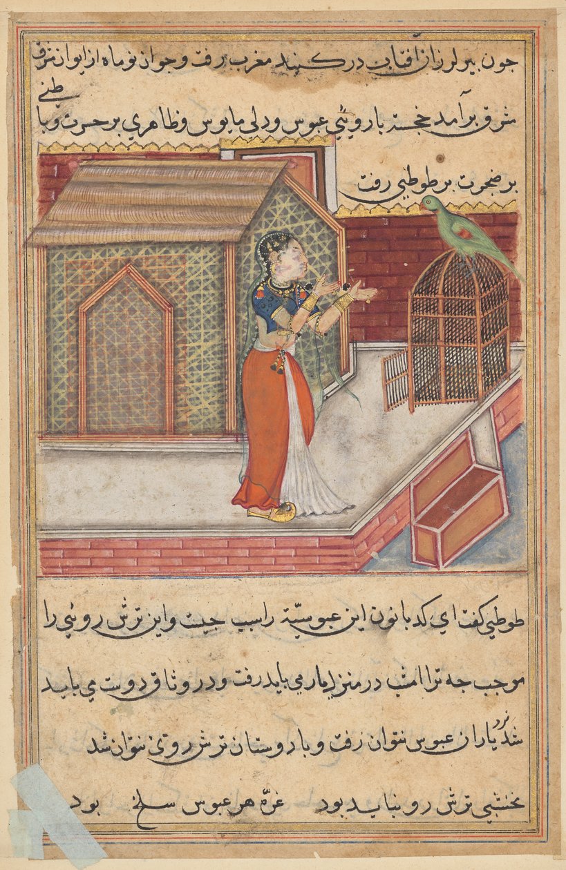 The parrot addresses Khujasta at the beginning of the forty-ninth night, from a Tuti-nama (Tales of a Parrot): Forty-Ninth Night by Unknown artist