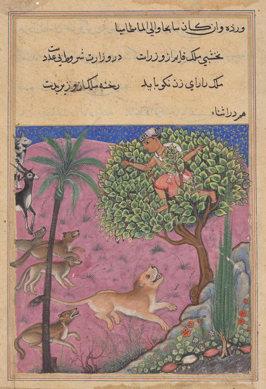 The wolf and the jackal, serving as viziers, instigate the lion who pursues the Brahman up a tree, from a Tuti-nama (Tales of a Parrot): Twenty-first Night by Unknown artist