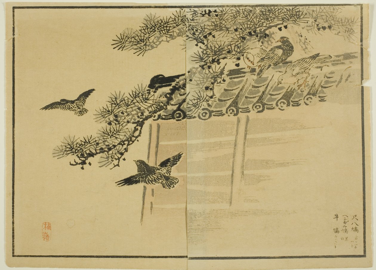 Three Kinds of Birds by a Wall by Unknown artist