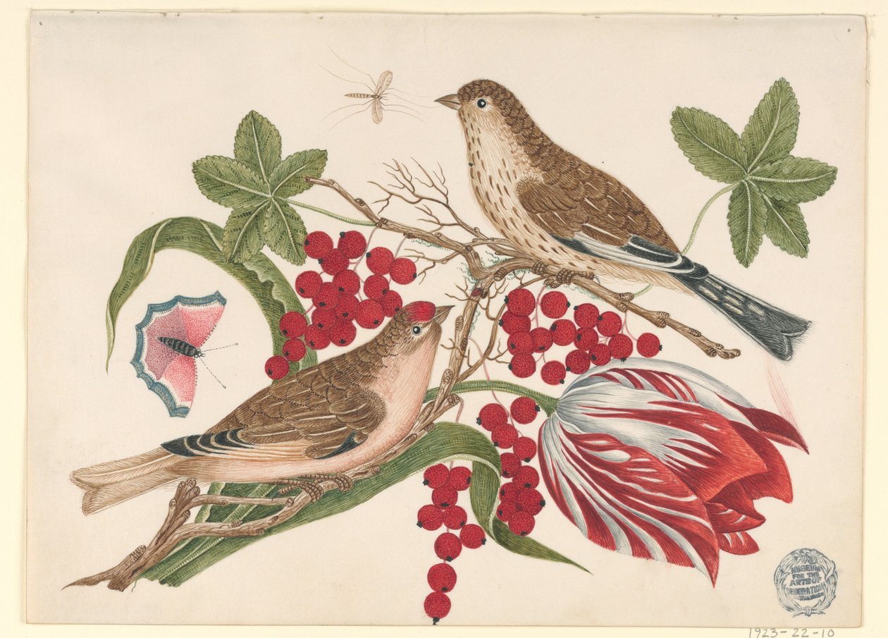 Two Brown Birds on Branch with Tulip, Berries, and Insects by Unknown artist