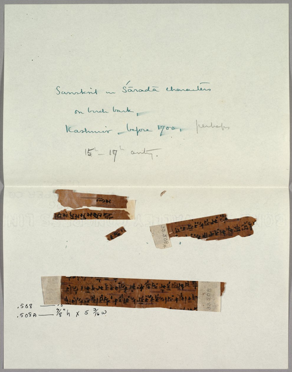 Two Fragments of Bark with Sanskrit by Unknown artist