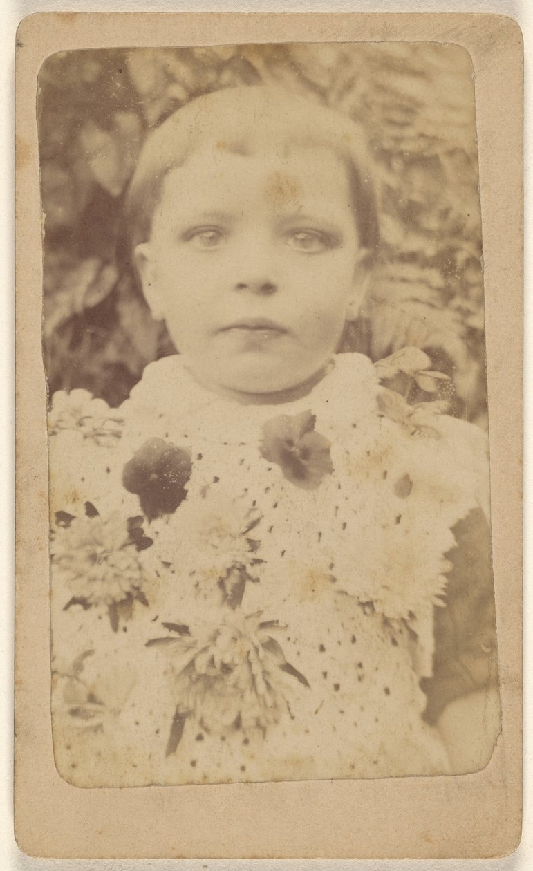 Unidentified Little Girl Wearing a Flowered Dress by Unknown artist