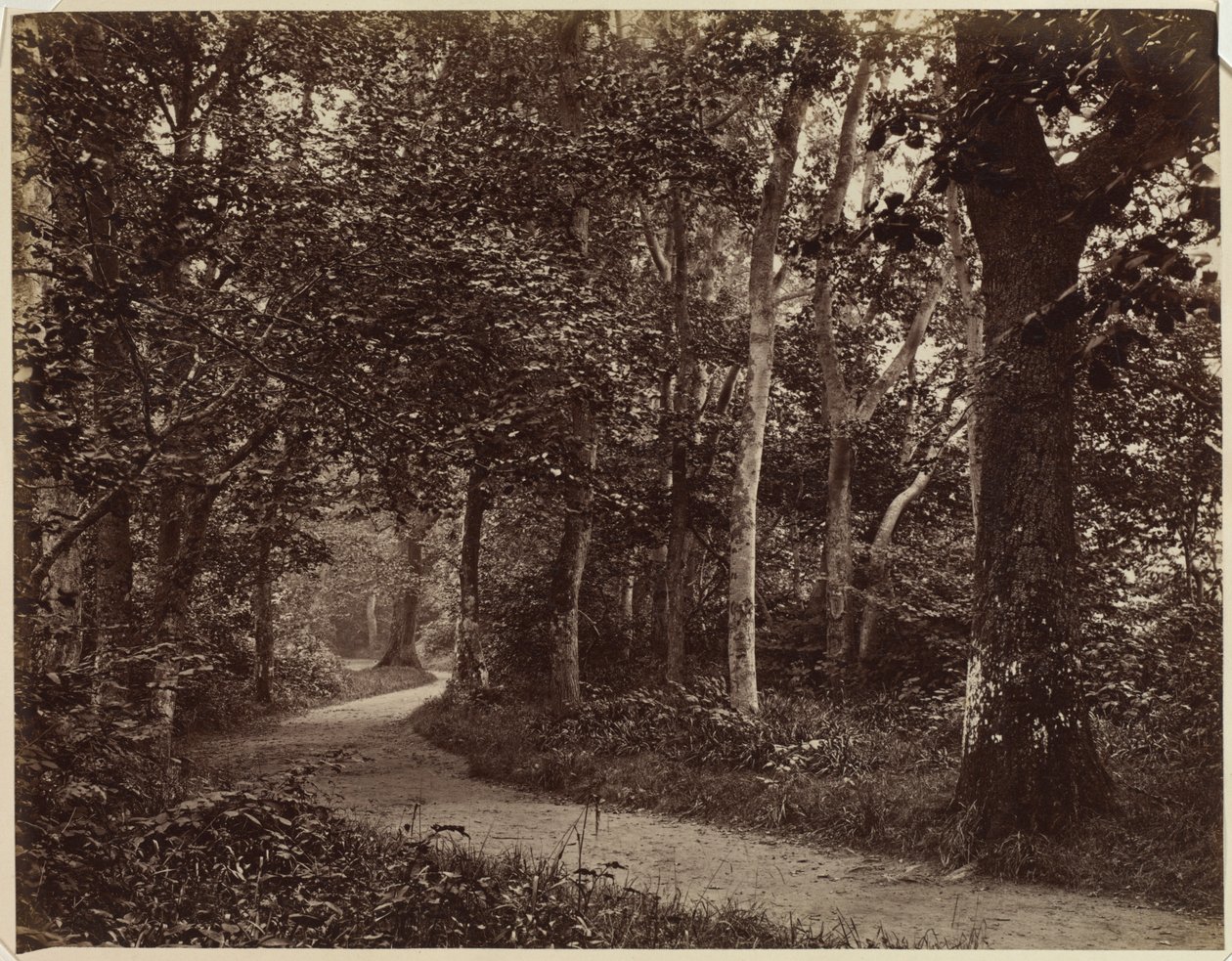 Untitled (Landscape) by Unknown artist