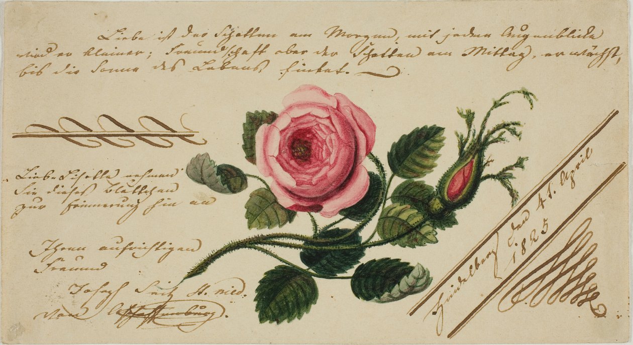 Untitled Valentine (Pink Flower) by Unknown artist