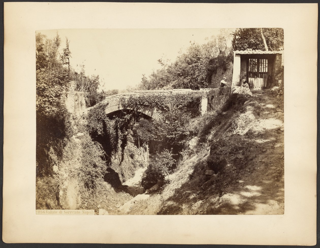 Valleys of Sorrento, Naples by Unknown artist