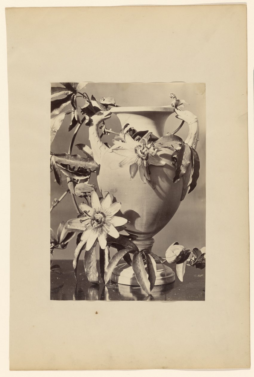 Vase with Passion Flowers by Unknown artist