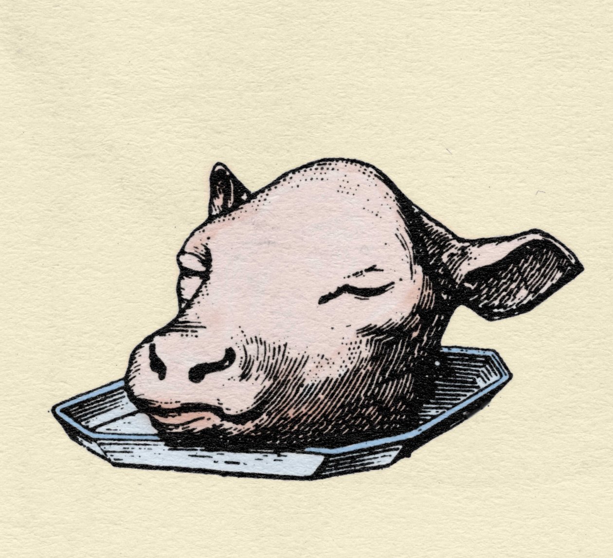 Veal Head, Engraving Late 19th Century by Unknown artist