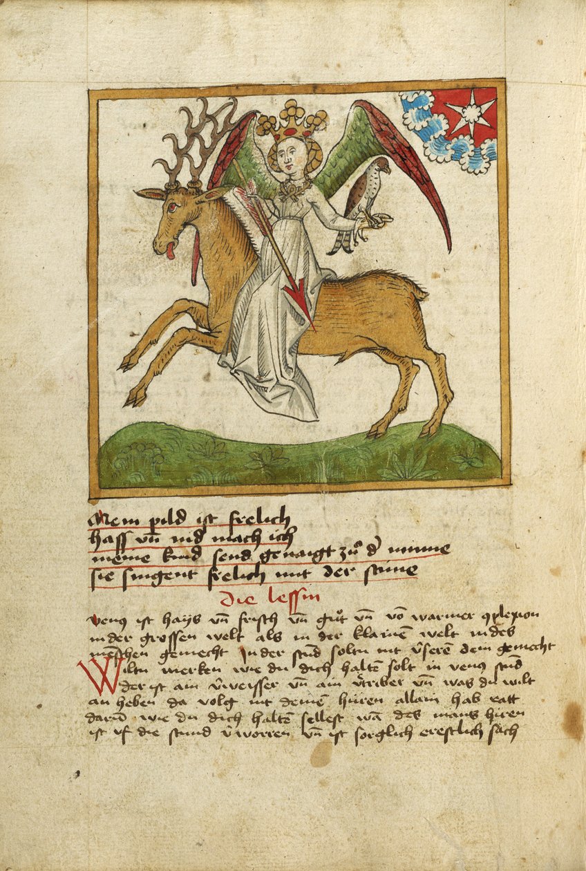 Venus Riding a Stag by Unknown artist