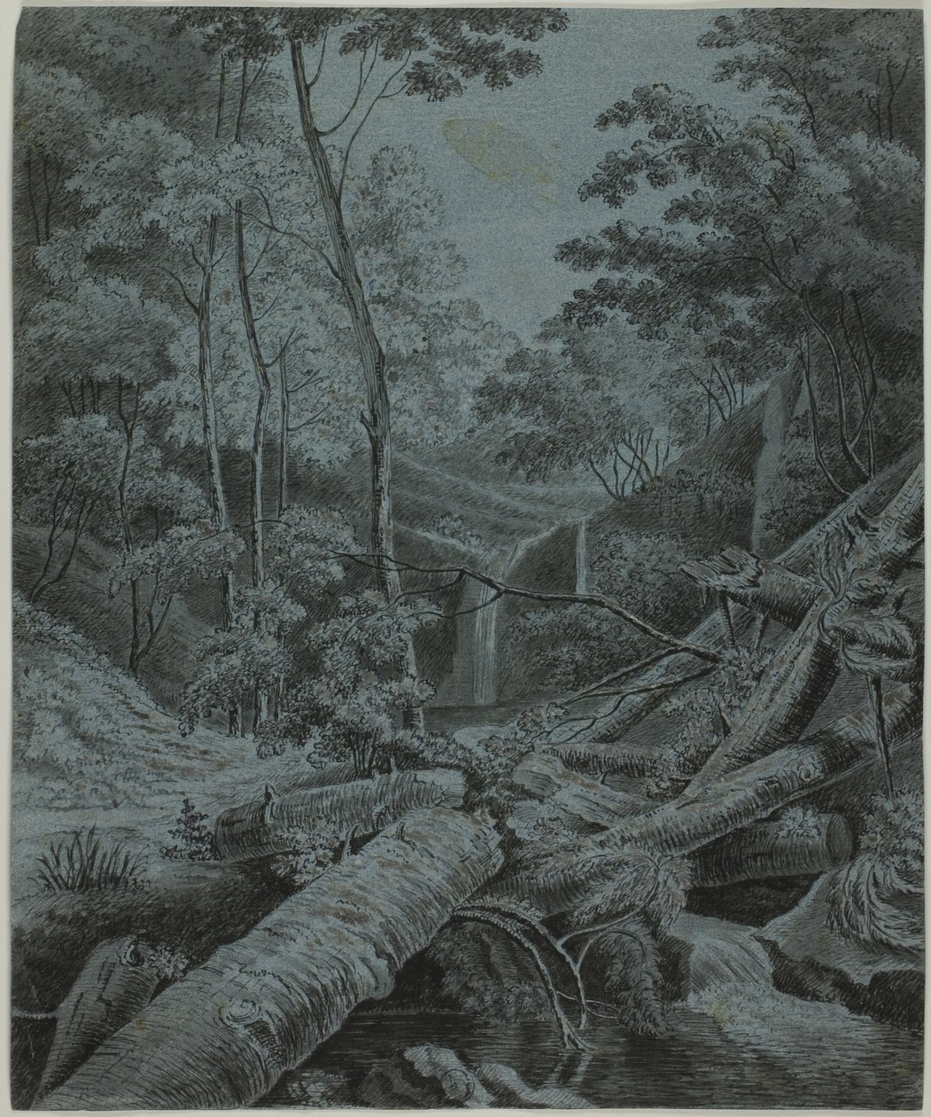 Waterfall and Fallen Logs in Forest by Unknown artist
