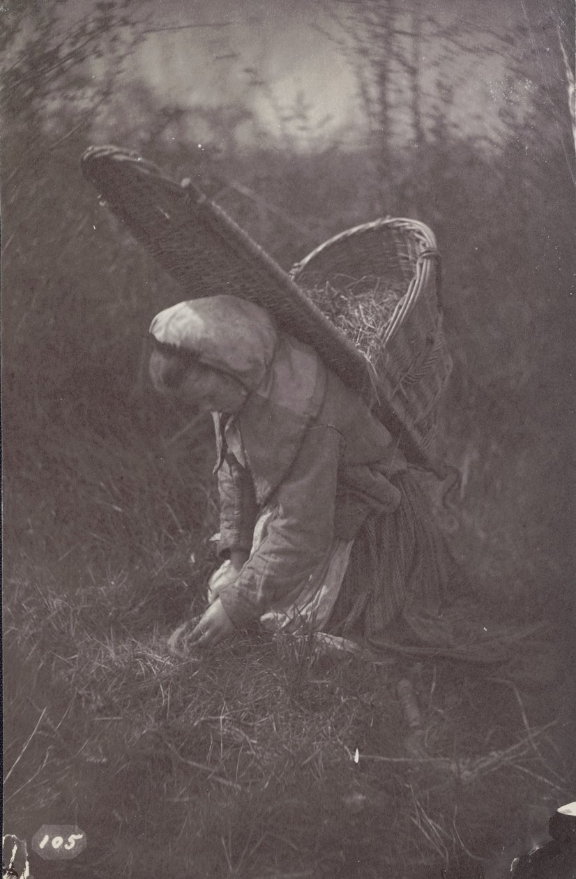 Woman with Basket on Back by Unknown artist