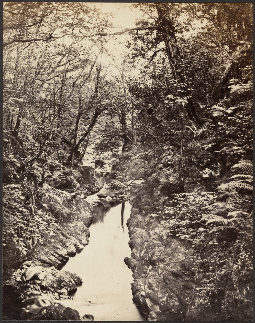 Wooded Landscape with Stream by Unknown artist