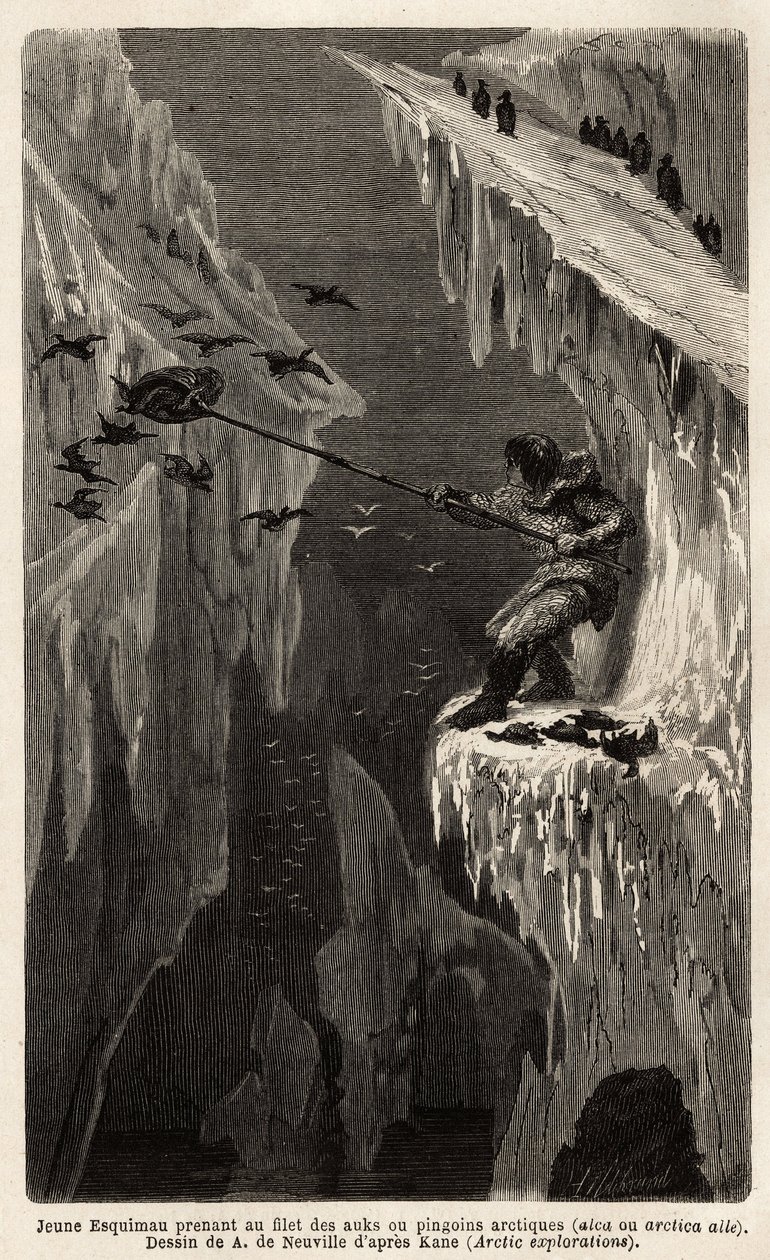 Young Eskimo Catching Arctic Penguins. Engraving to Illustrate the Voyage to the Free Sea of the Arctic Pole, by Doctor Hayes, Surgeon of the United States Navy, in 1860-1862, Published in Le Tour du Monde, Nouveau Journal des Voyages by Unknown artist
