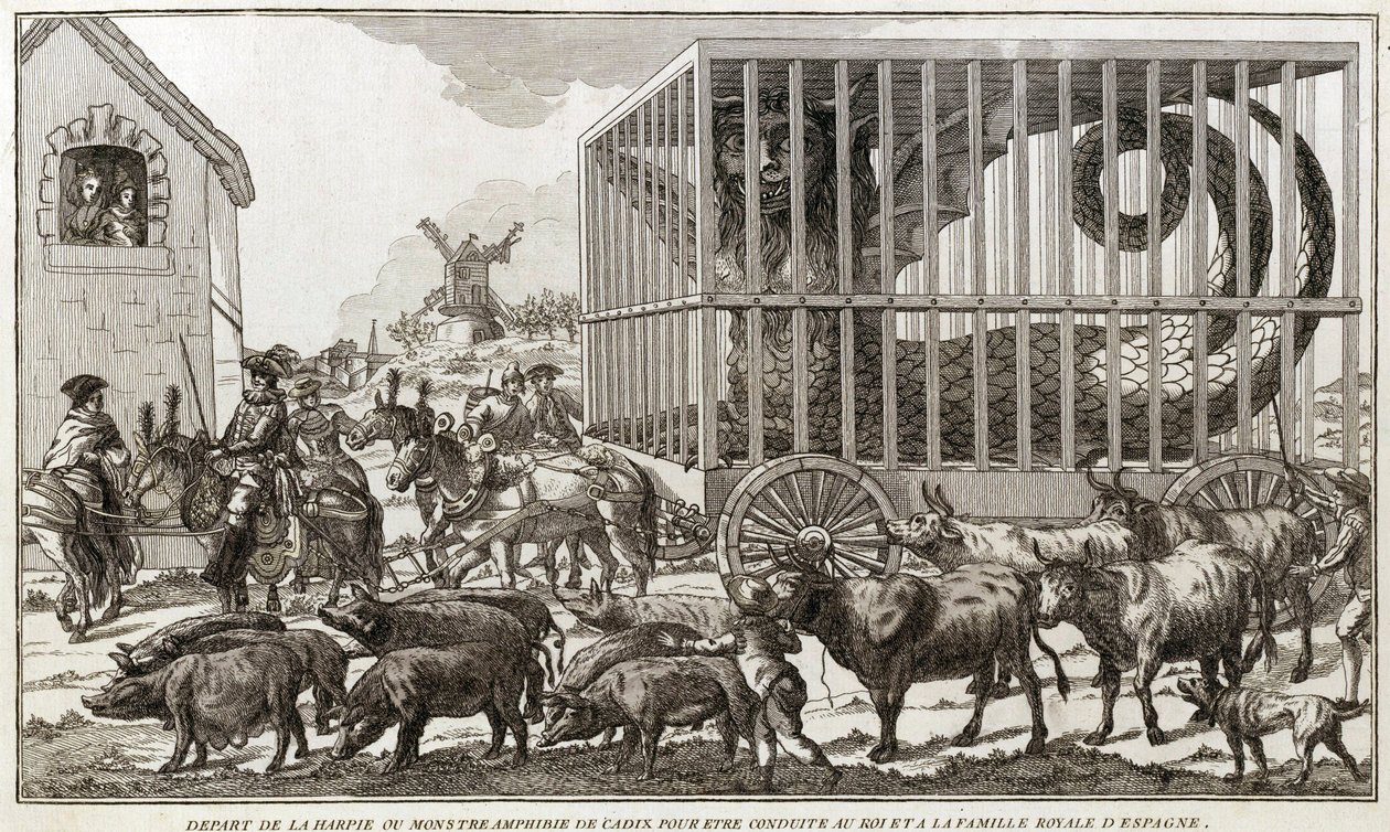 Zoomorphism - Caricature against Mary - Antoinette by Unknown artist
