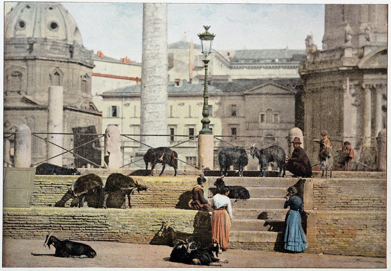 Ancient Rome: View of the Roman Forum. Italy, Late 19th Century by Unknown photographer