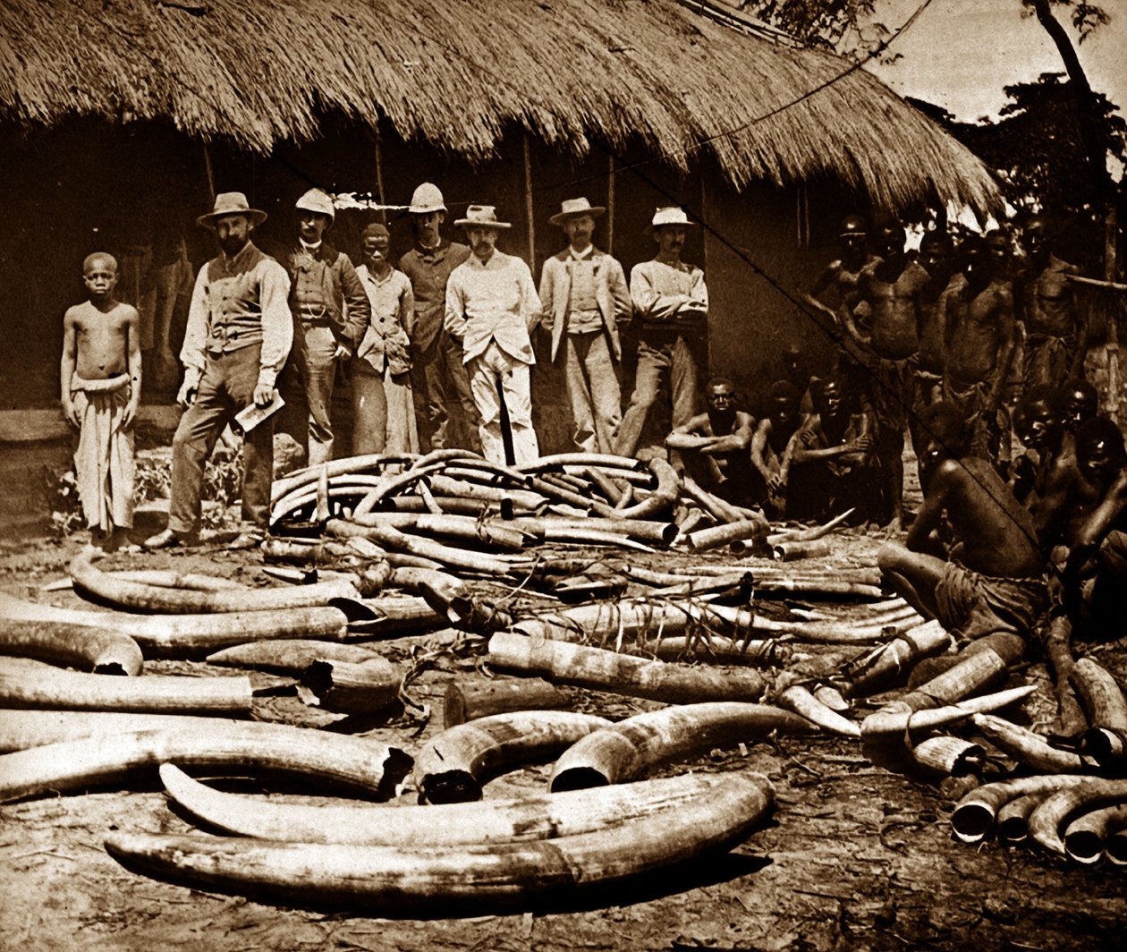Belgian Colonial Ivory Hunting by Unknown photographer