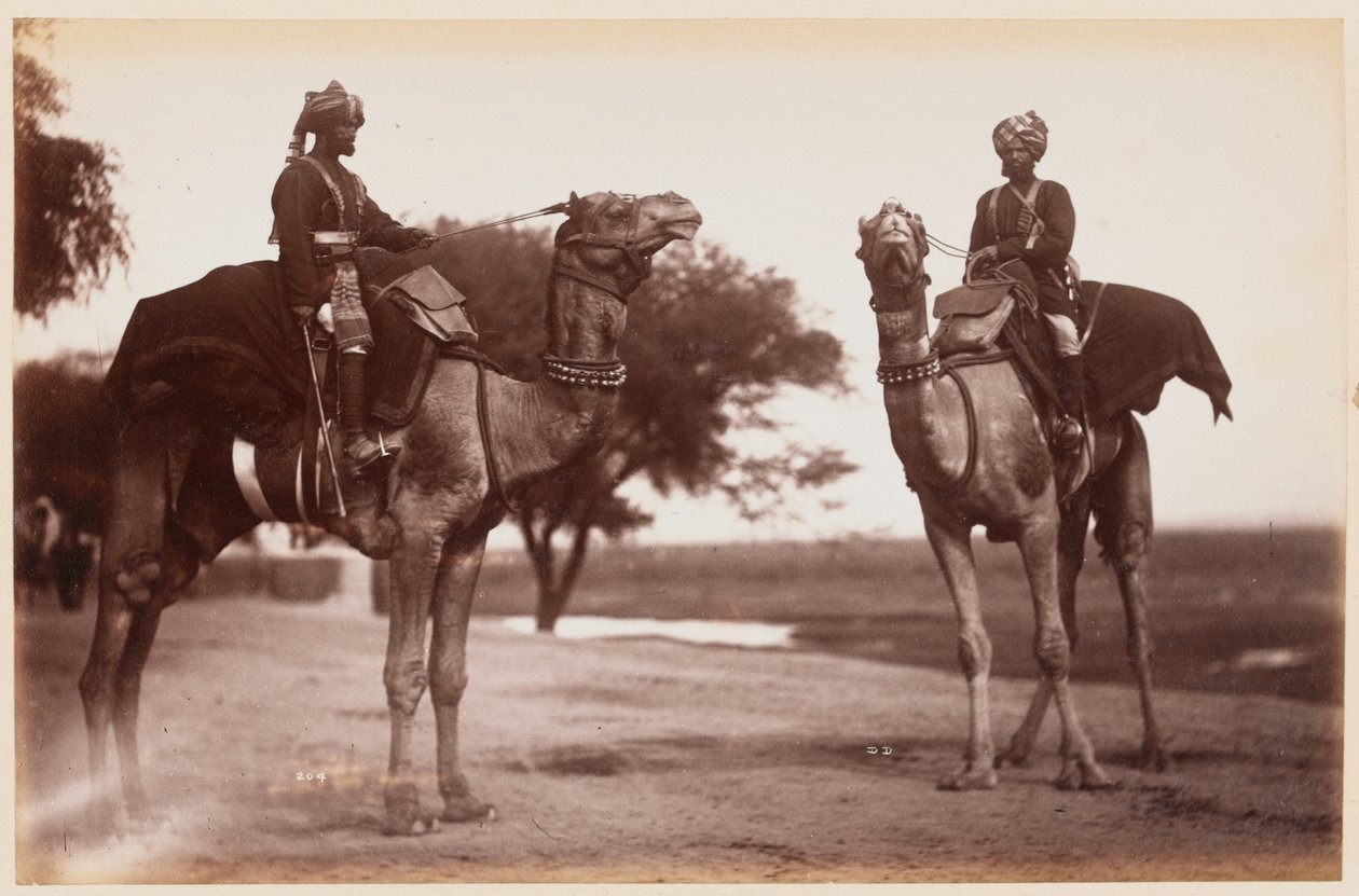 Camel Sowars at the Delhi Camp of Exercise by Unknown photographer