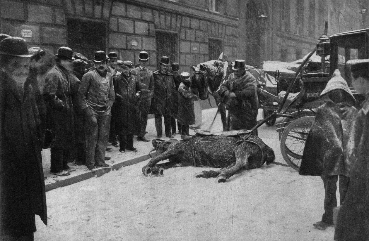 Death of a coupling horse in the streets of Paris. Photography, late 19th century, Paris. Coll. Selva by Unknown photographer