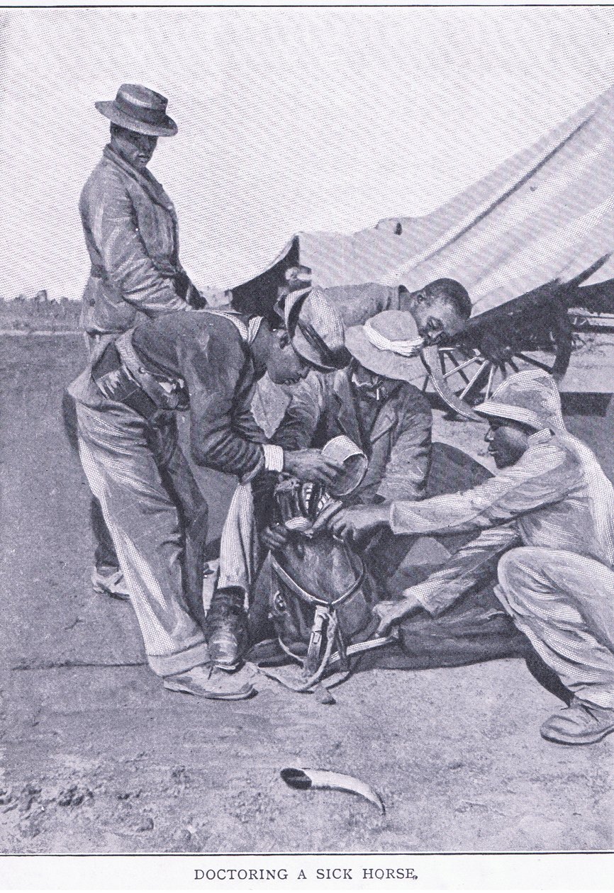 Doctoring a sick horse, from After Pretoria: The Guerilla War published by Harmsworth Bros Limited by Unknown photographer
