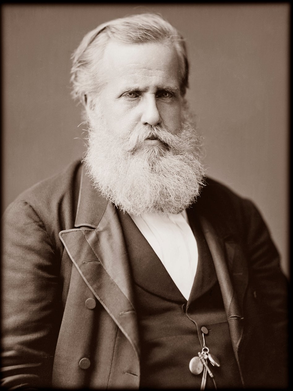 Portrait of Dom Pedro II, Emperor of Brazil by Unknown photographer