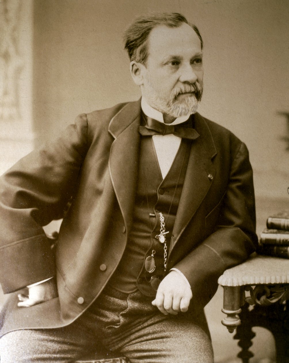 Portrait of Louis Pasteur by Unknown photographer