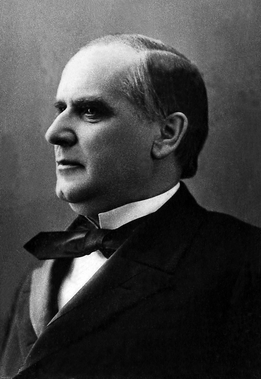 Portrait of William McKinley, American Politician by Unknown photographer