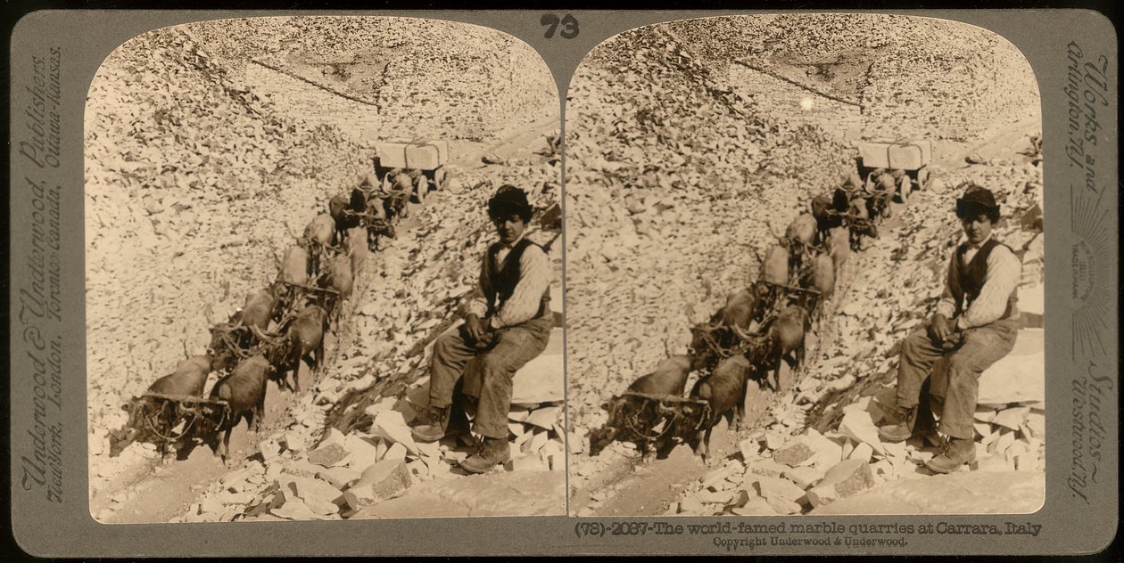 Portrait of a boy in the famous marble quarries in Carrara (b/w photo) by Unknown photographer