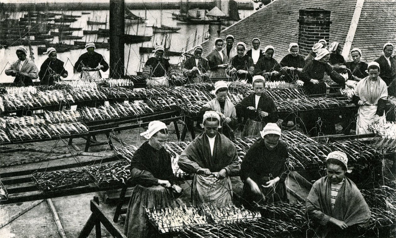 Sardine Industry, Finistère, Brittany by Unknown photographer