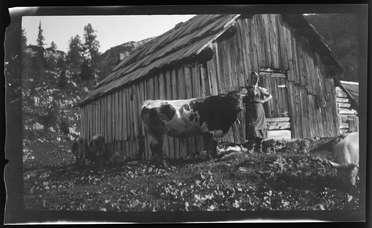 Vorderbachalm with Alpine Hut near Goessl at Lake Grundl by Unknown photographer