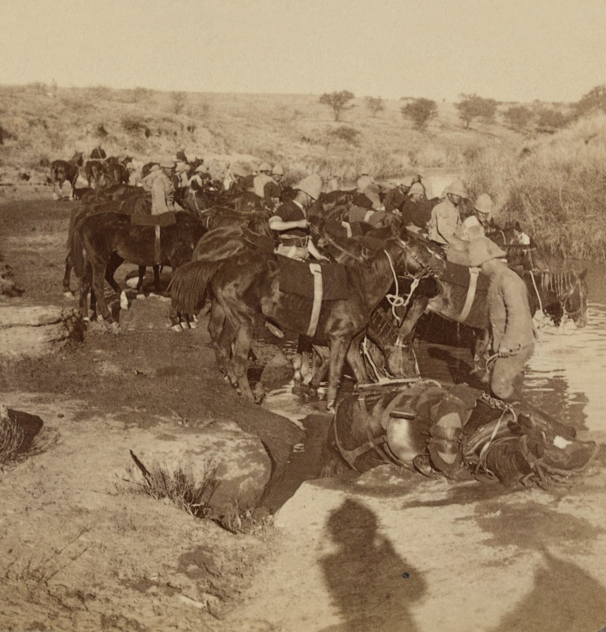 Watering Artillery horses, Welgelegen, South Africa by Unknown photographer