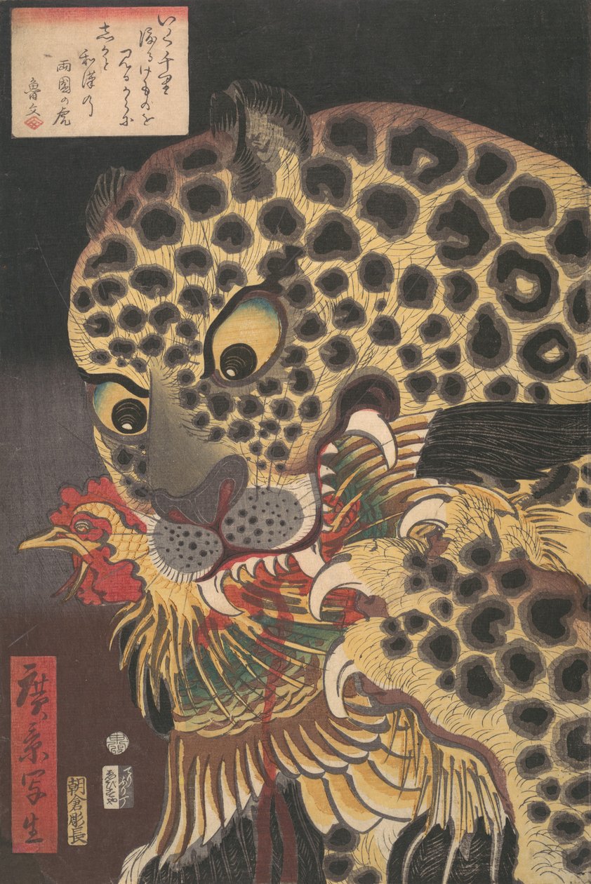 The Tiger of Ryokoku, from the Series True Scenes by Hirokage, 8th Month, 1860 by Utagawa Hirokage