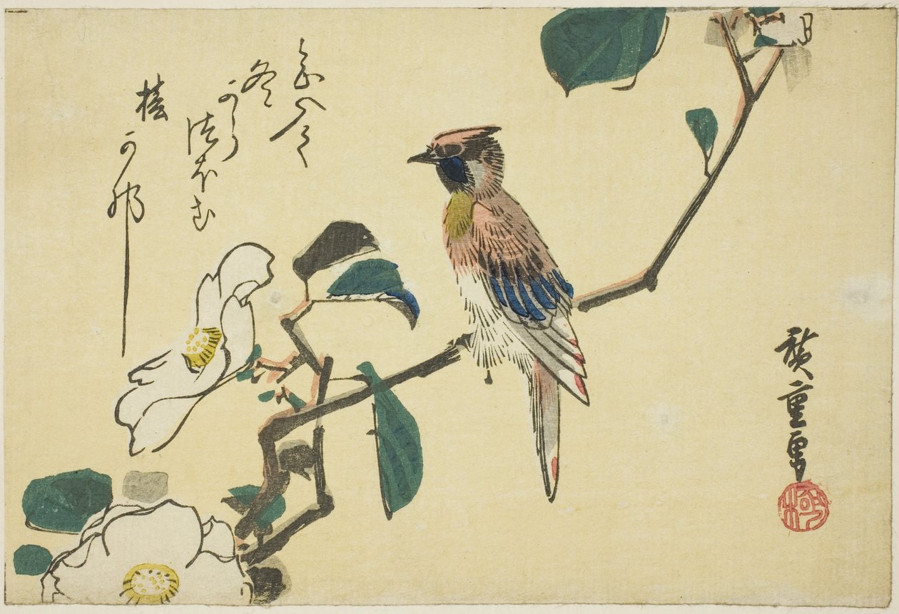 Black-naped Oriole on Camellia Branch by Utagawa Hiroshige
