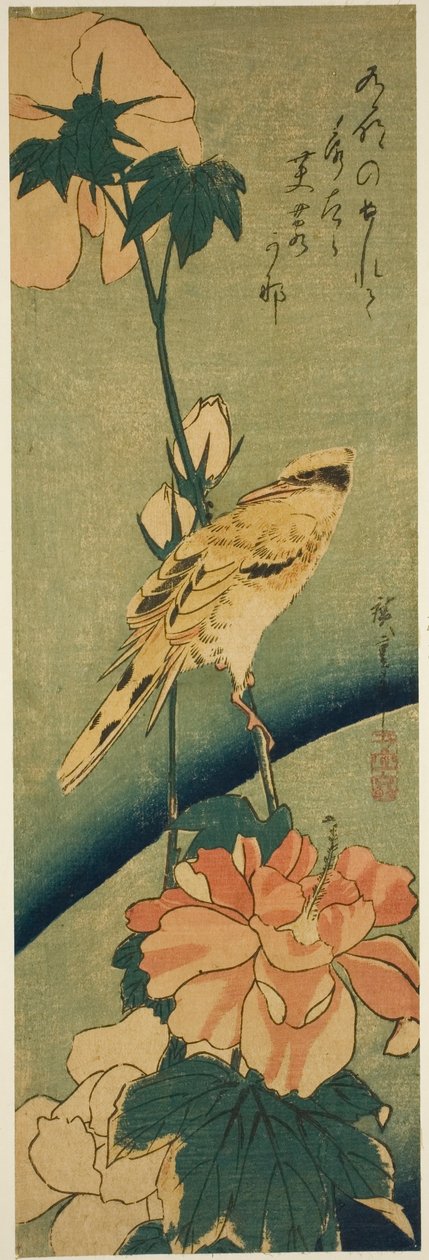 Black-naped Oriole on Hibiscus by Utagawa Hiroshige