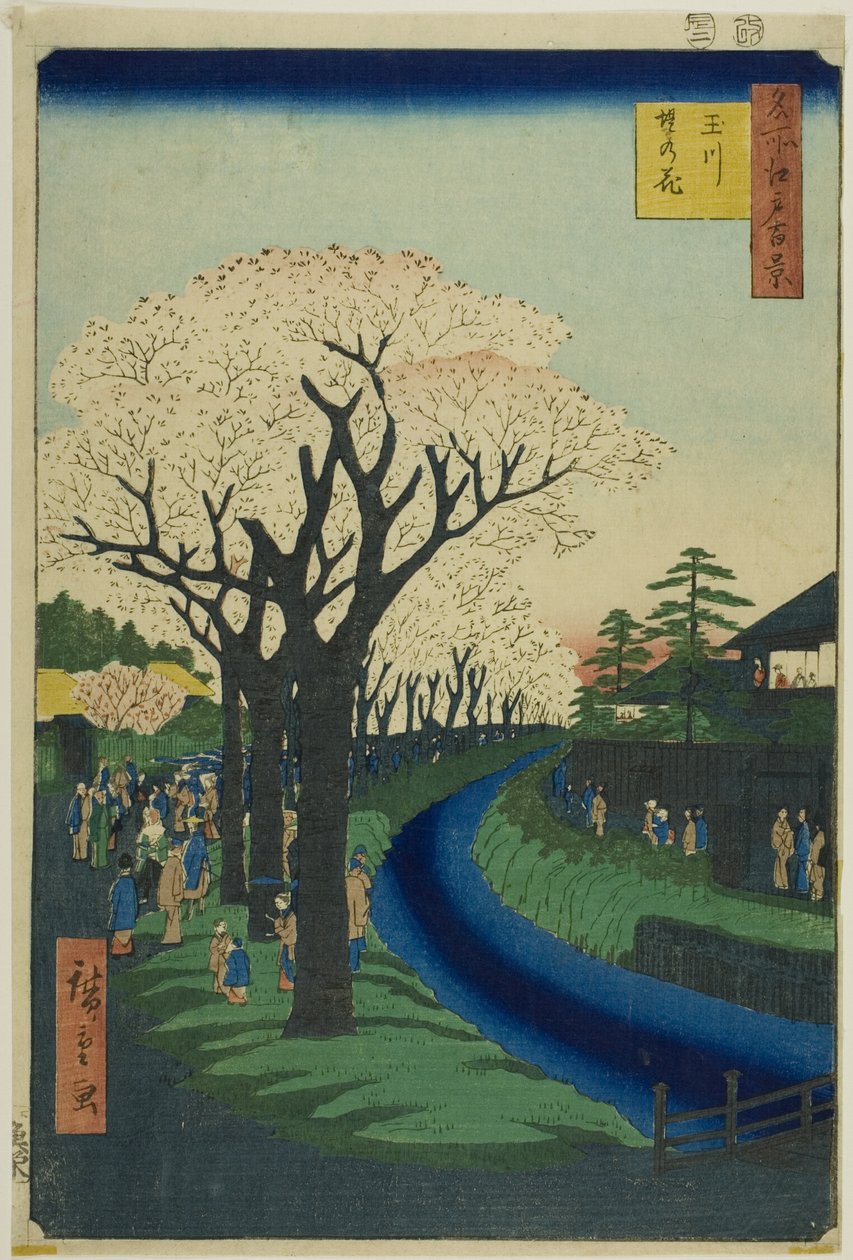 Blossoms on the Tama River Embankment, from the series 