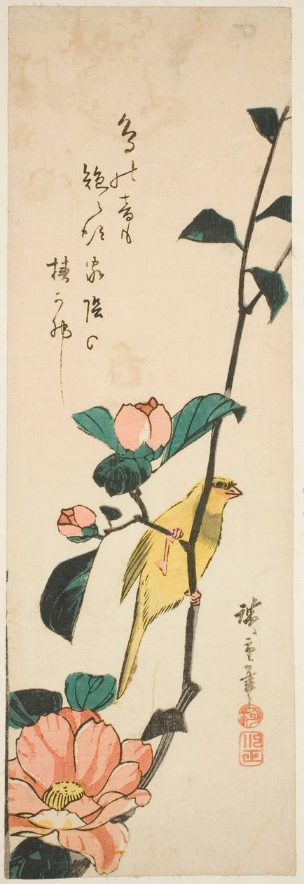 Canary and Camellias by Utagawa Hiroshige