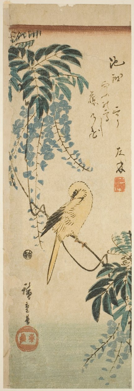 Canary and Wisteria by Utagawa Hiroshige