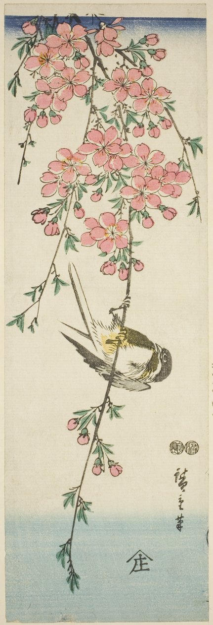 Great Tit and Cherry Blossoms by Utagawa Hiroshige