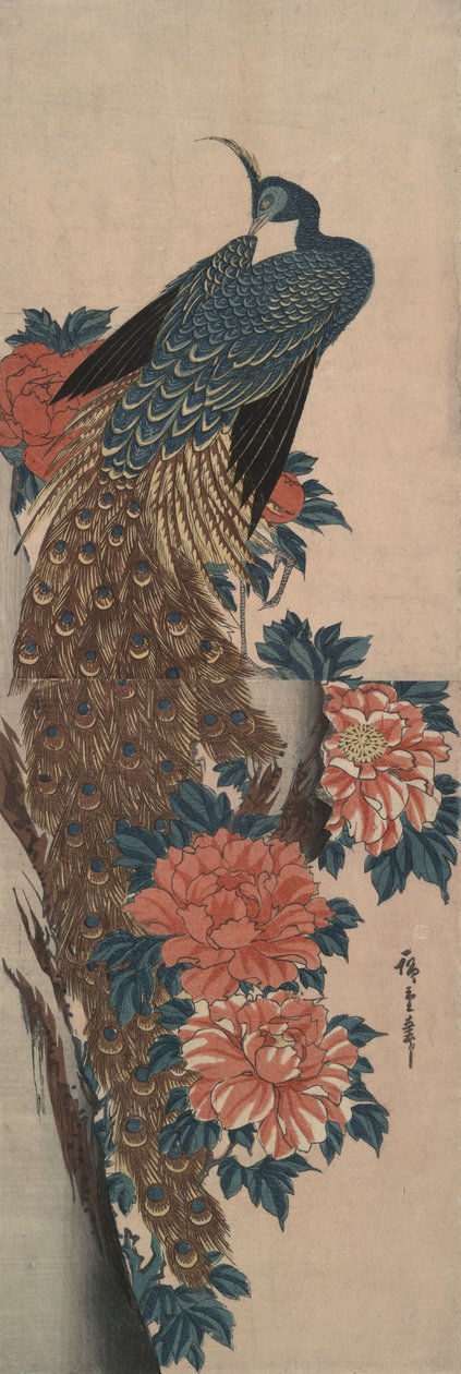 Peacock and Peonies by Utagawa Hiroshige