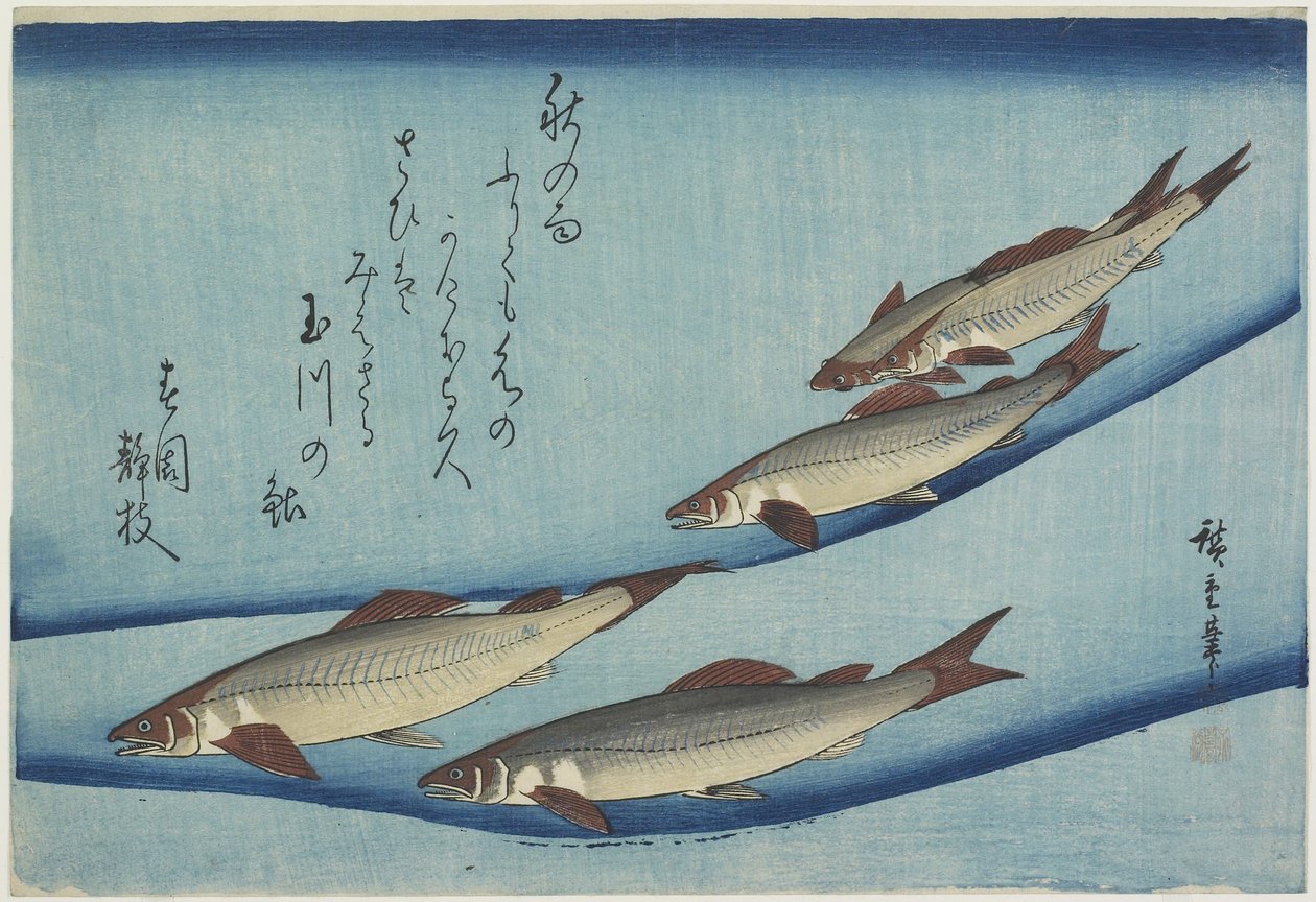Sweetfish, 1832-1833 by Utagawa Hiroshige