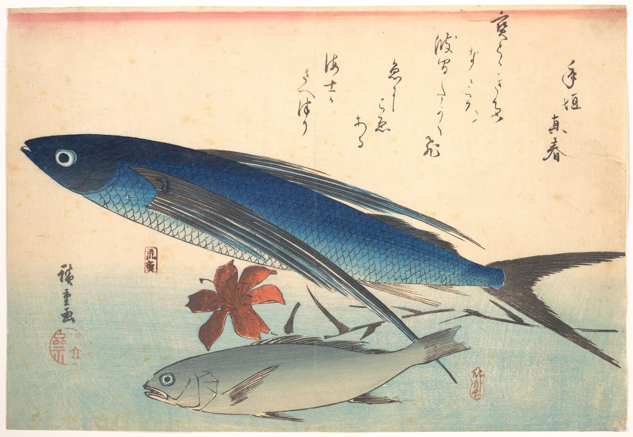 Tobiuo and Ishimochi Fish, from the Series Every Variety of Fish by Utagawa Hiroshige