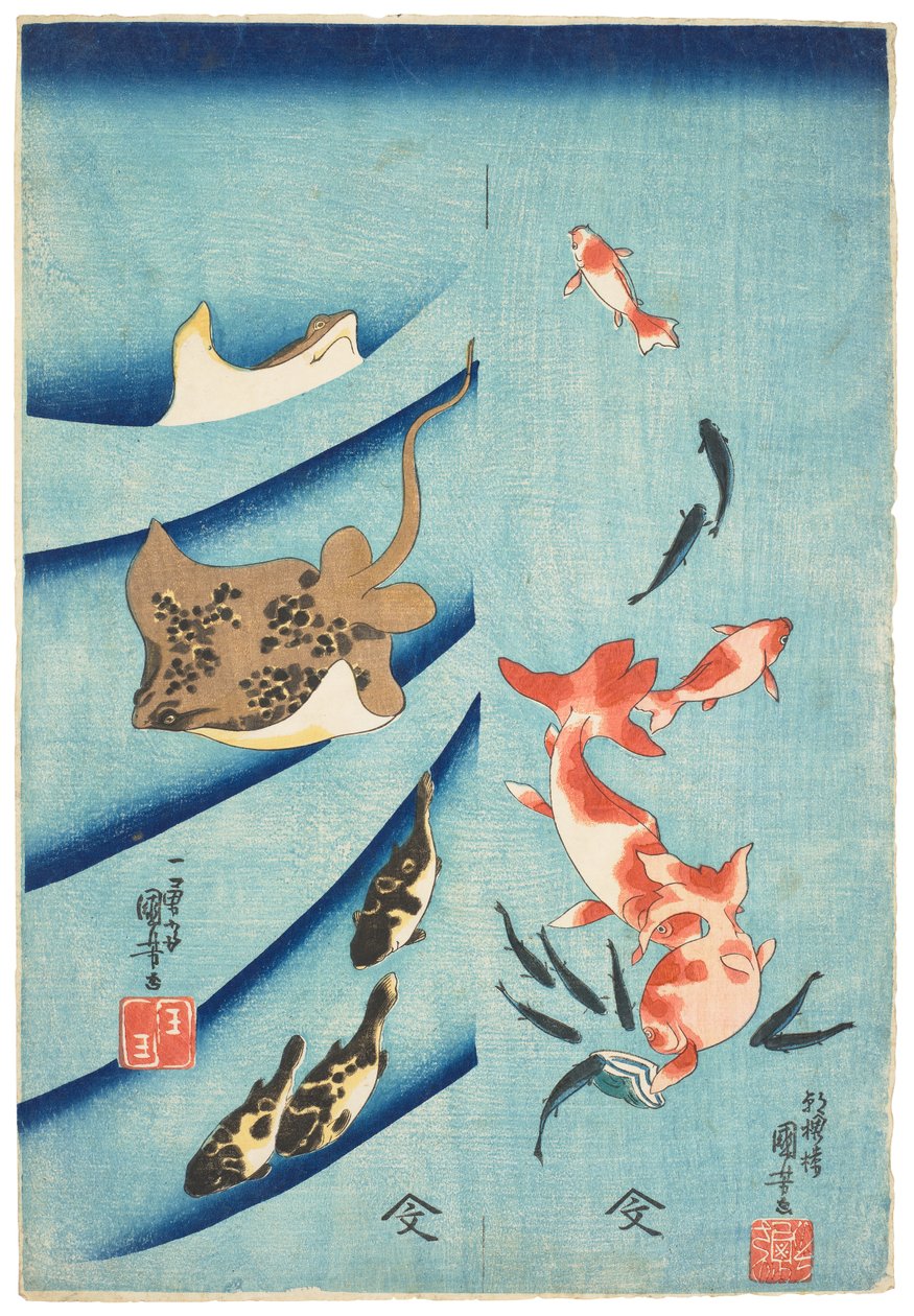 Goldfish, Killifish, Stingray and Puffer Fish, c.1837 by Utagawa Kuniyoshi