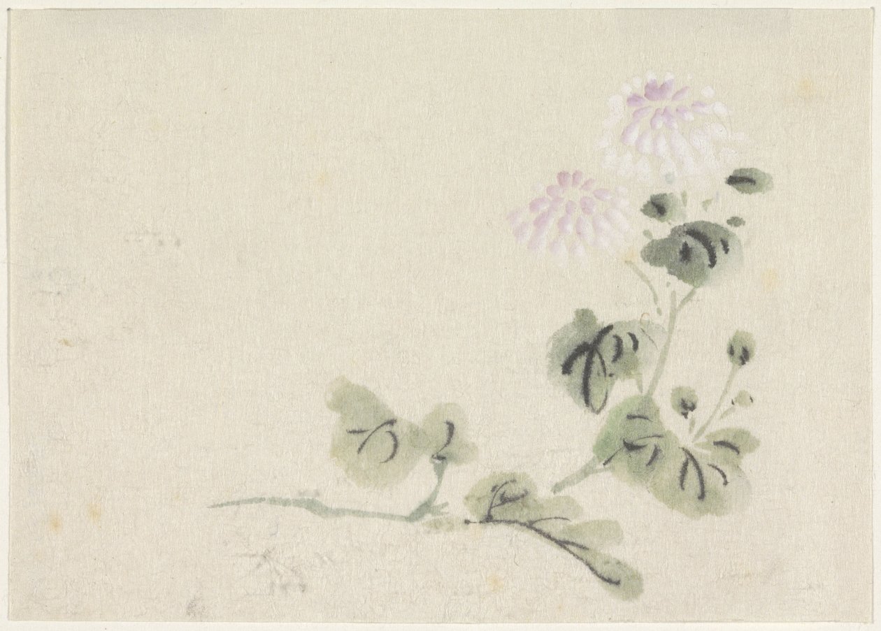 Purple-White Chrysanthemums by Utagawa Kuniyoshi